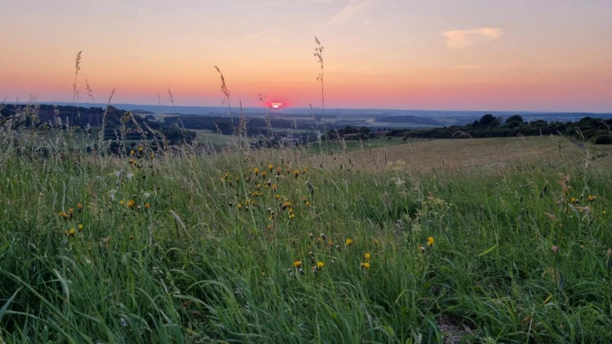 Ferienwohnung Eifelweh - Lieblingszeit Berndorf  Buitenkant foto